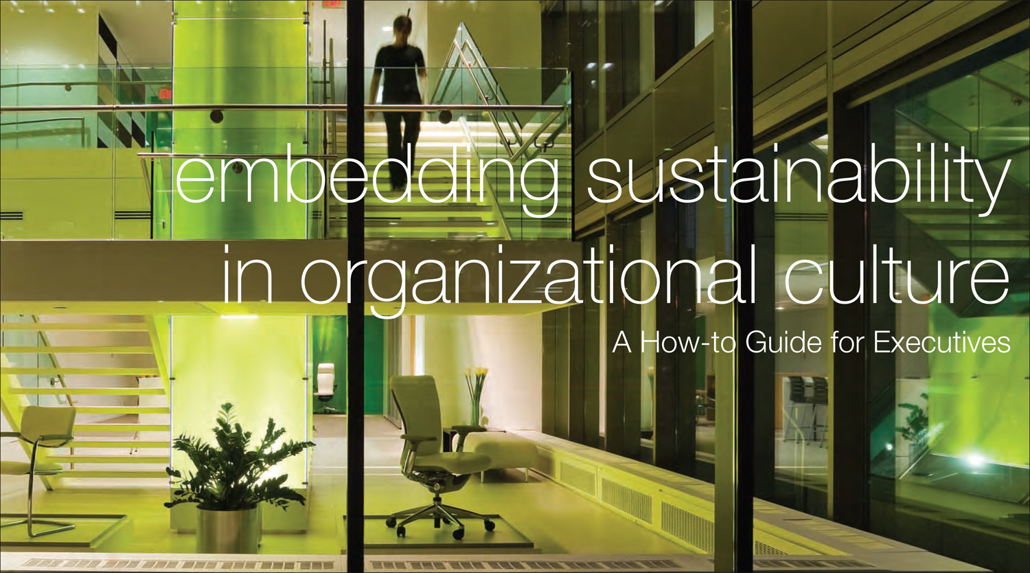 Embedding Sustainability in Organizational Culture